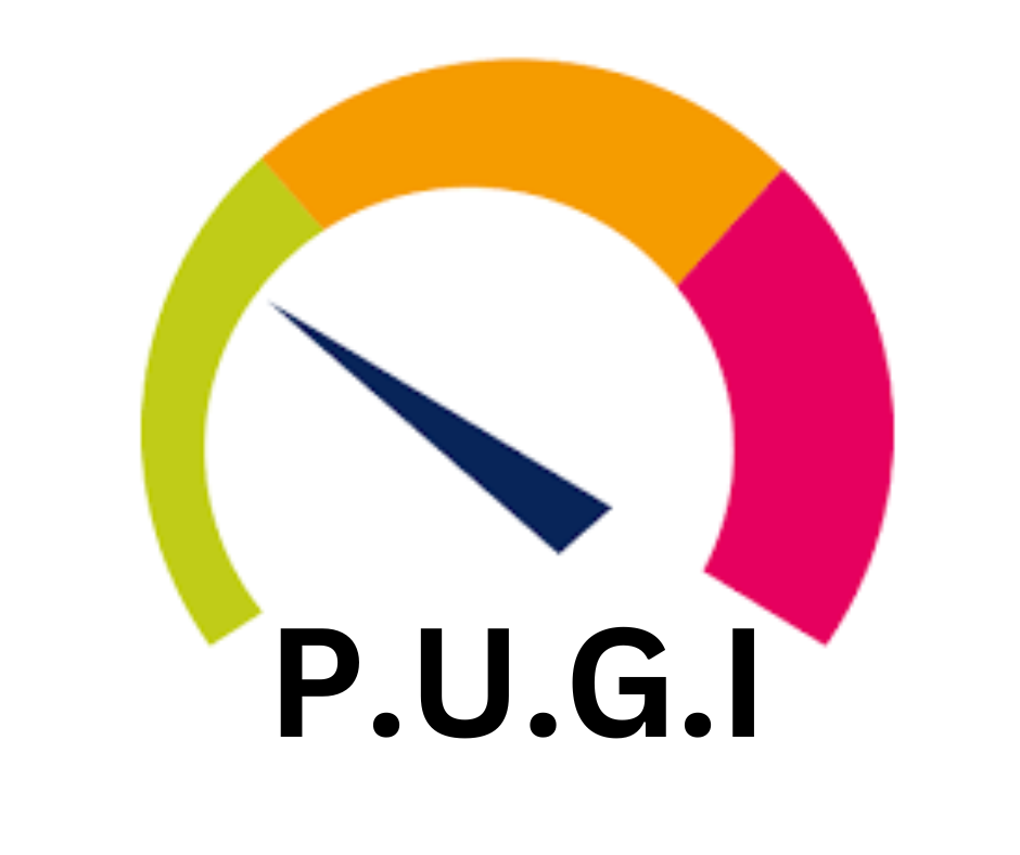 LOGO PUGI